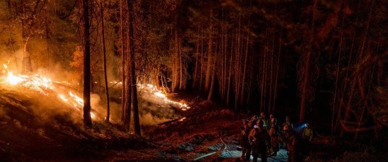 a group of people standing next to a forest filled with fire